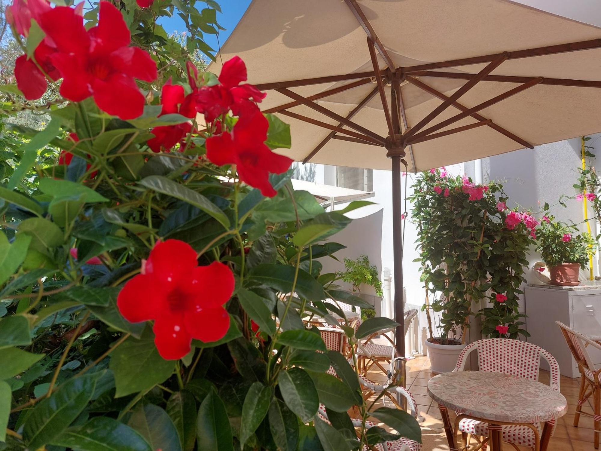 Driade Sul Mare Hotel Rimini